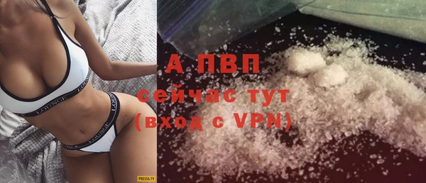 ГАЛЛЮЦИНОГЕННЫЕ ГРИБЫ Беломорск