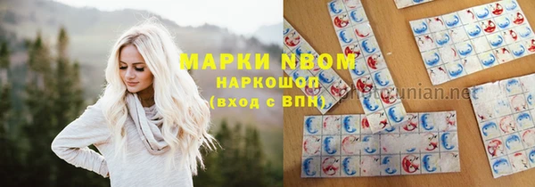 ГАЛЛЮЦИНОГЕННЫЕ ГРИБЫ Аркадак