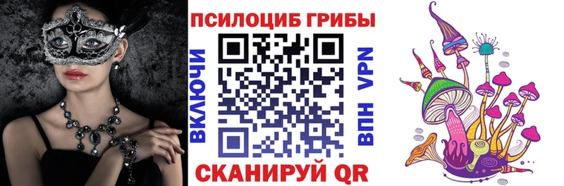 даркнет сайт  мега   Галлюциногенные грибы прущие грибы  Кингисепп 